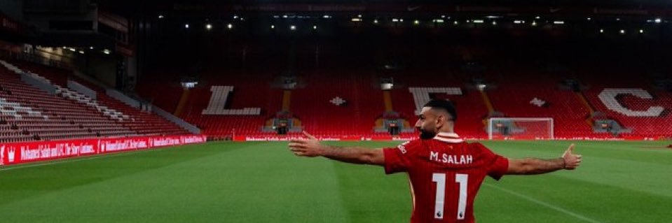 Norek #auramistrza banner