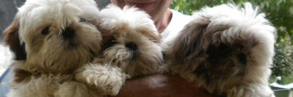 agusrramos's profile banner image