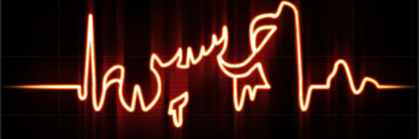 seyed1369's profile banner image