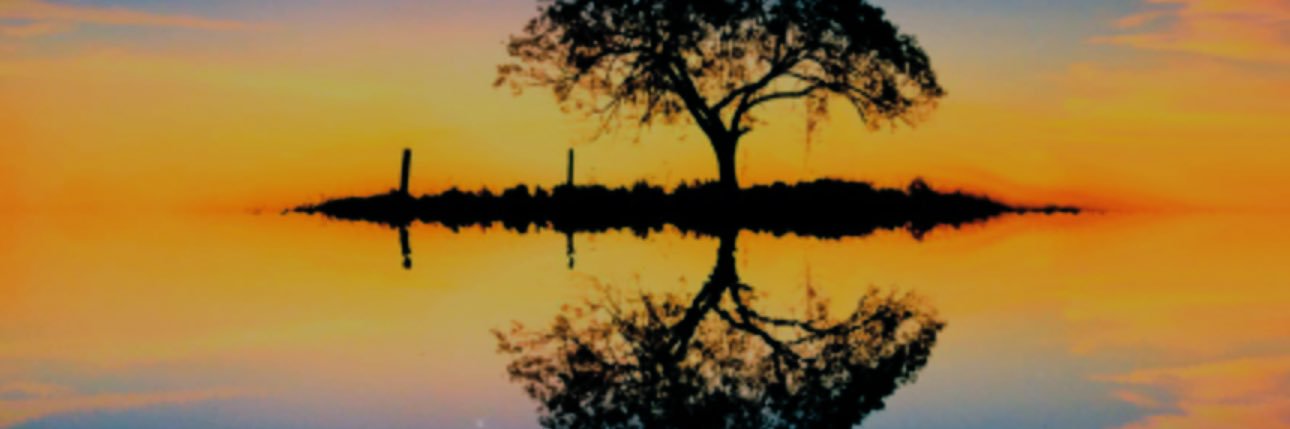 monkeygreen007's profile banner image
