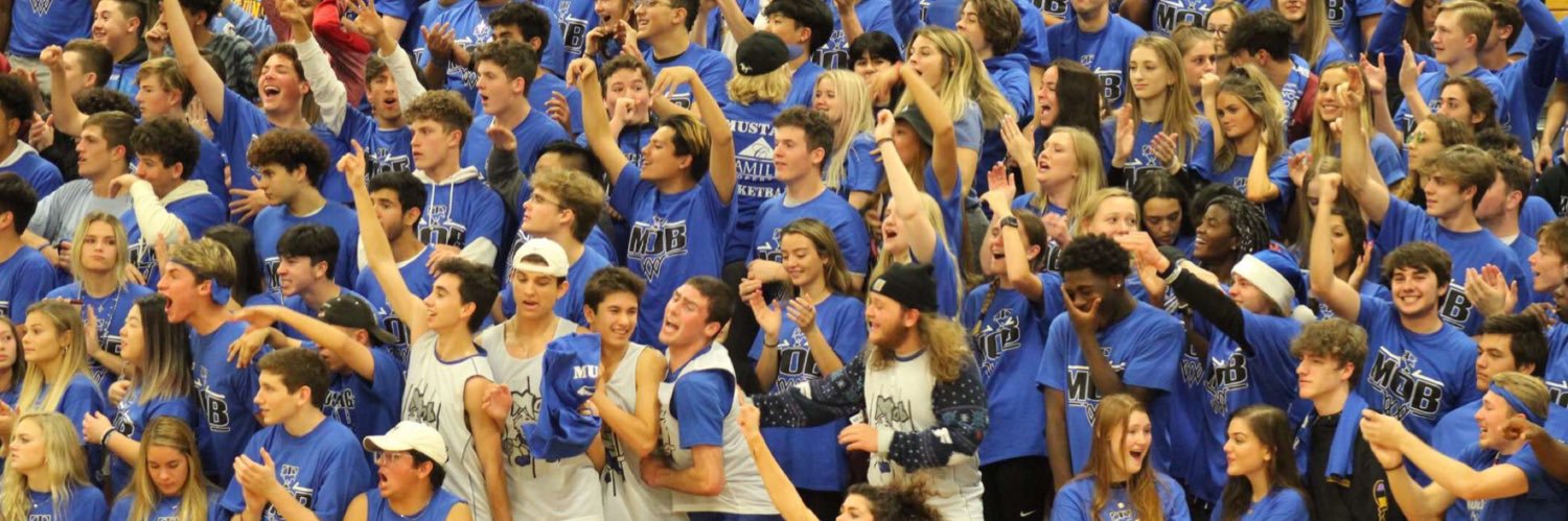 Mustang Mob banner