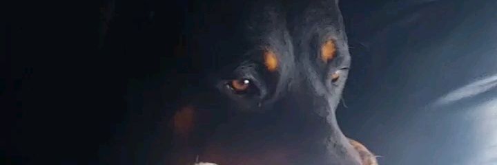 Jenz7312's profile banner image