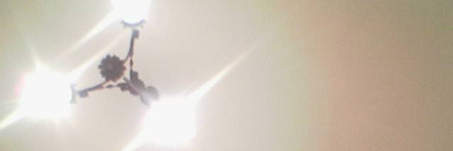 domenico martinez banner