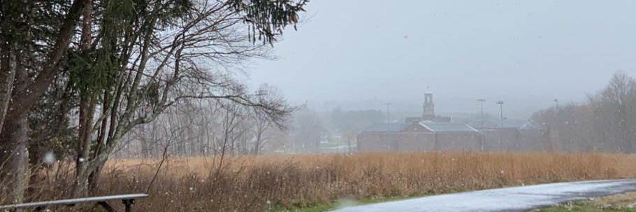 micaelashanley's profile banner image