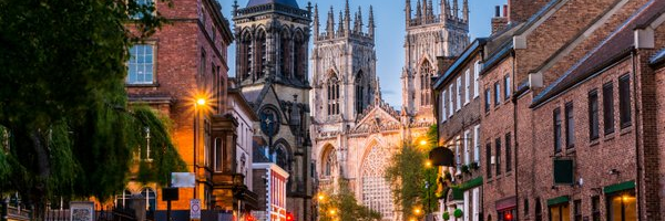 monkey inyork banner