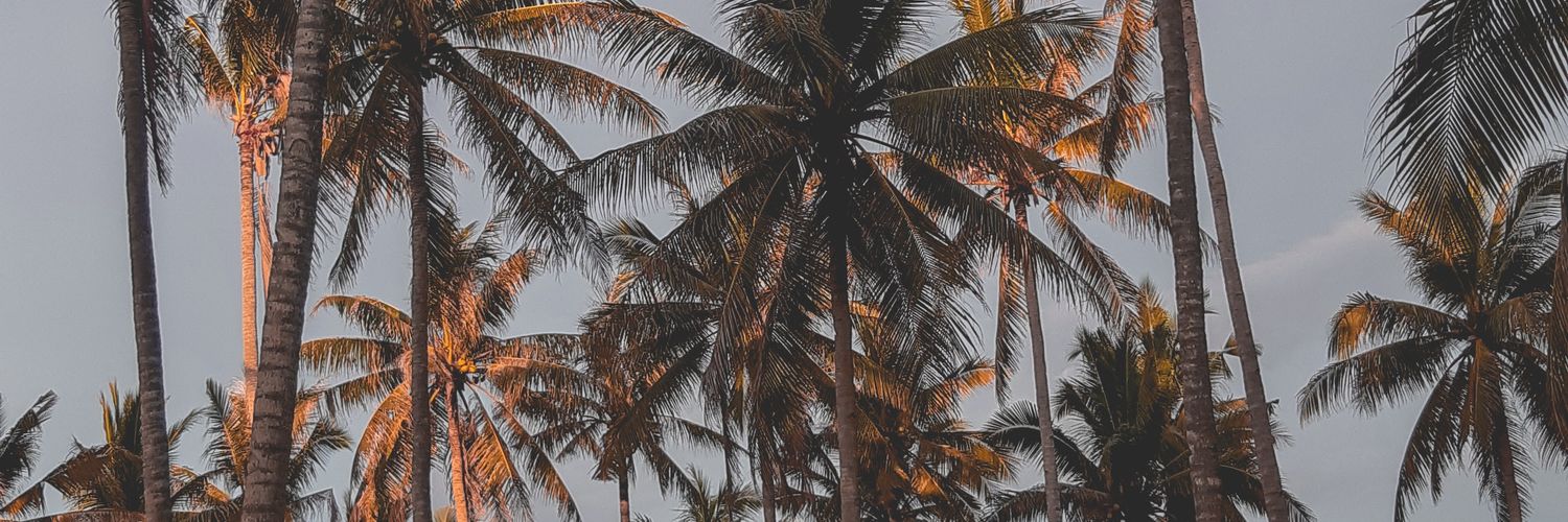 iamzeep's profile banner image