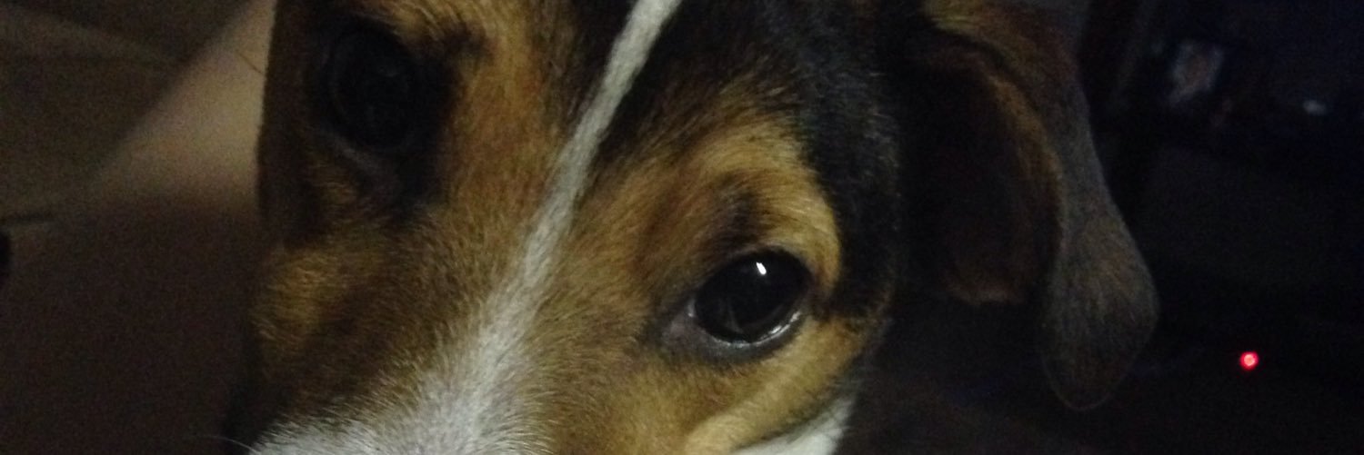 ThatOneSarina's profile banner image
