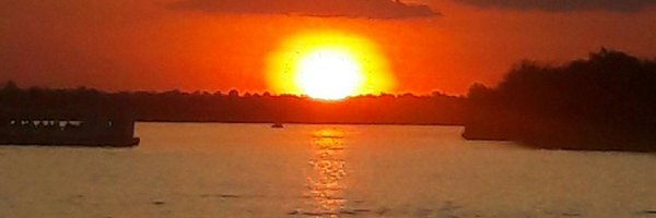 g_manex Profile Banner