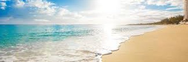 TracyFergusonVM Profile Banner
