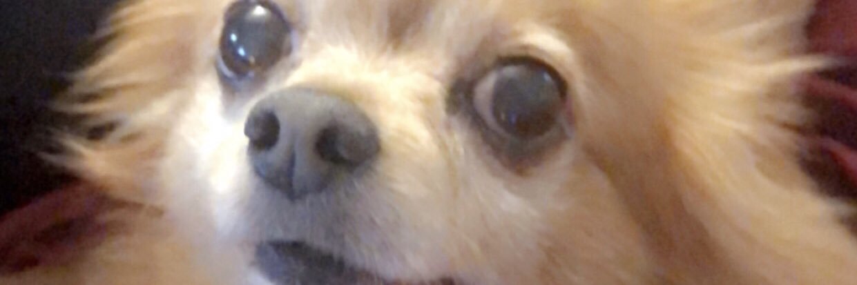 JanieØnePiløts🖤 banner