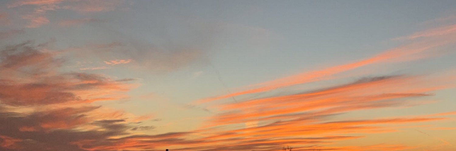 padecope's profile banner image