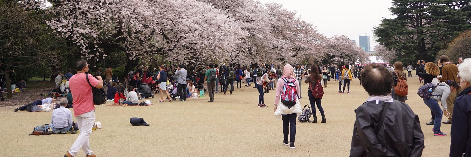 iceddarklatte's profile banner image