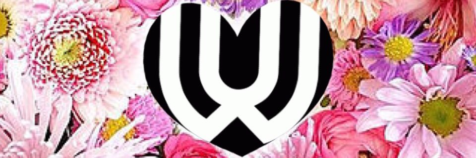 a2ral1ce's profile banner image