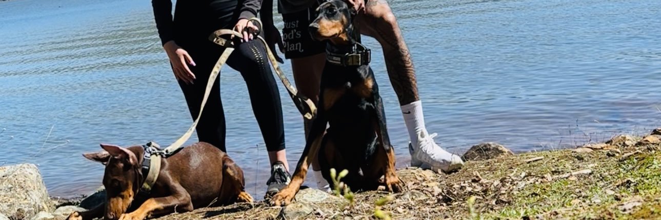 jay_lewi3's profile banner image