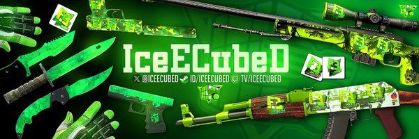 IceECubeD Profile Banner