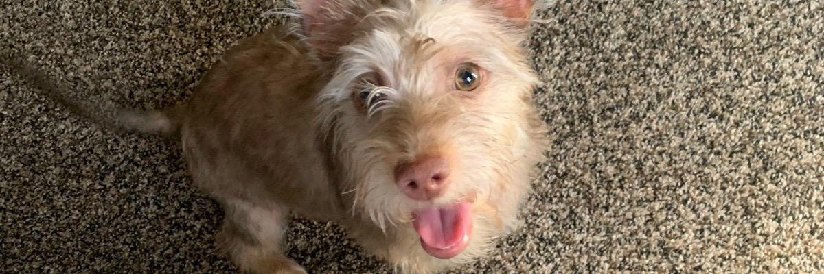 YuriFlynn's profile banner image