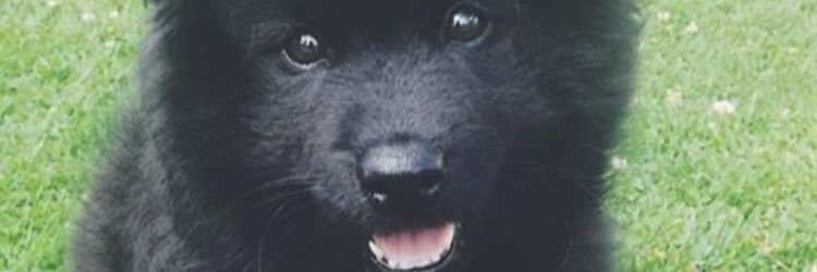 ClaessonLudwig's profile banner image