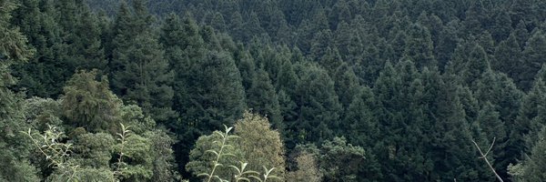 janlucio Profile Banner