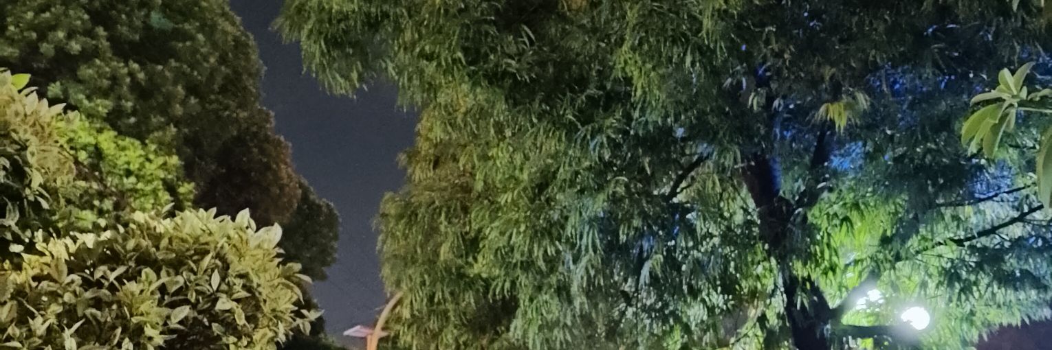 antonmuls's profile banner image