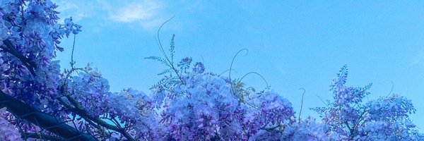 jesssssthesnake Profile Banner