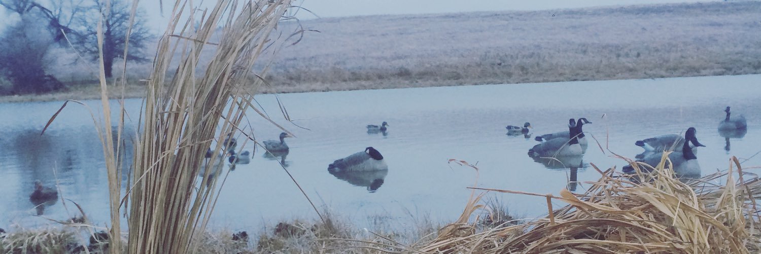 NashDuncann's profile banner image