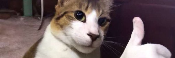 Rubyyy_but_cool Profile Banner
