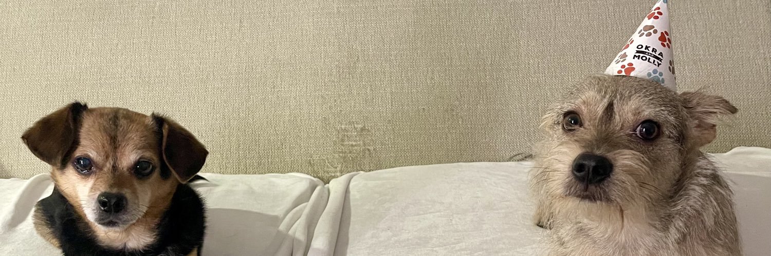 denellemila's profile banner image