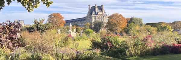 teo_danilovic Profile Banner