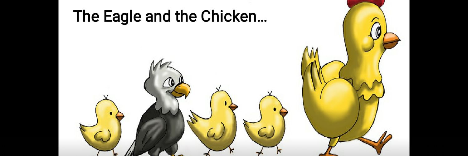navinpjain's profile banner image