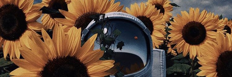 Luisa11's profile banner image