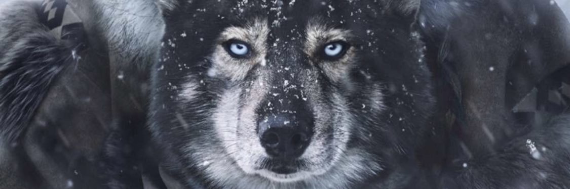 abe_13o's profile banner image