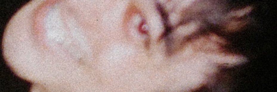 hextt11's profile banner image
