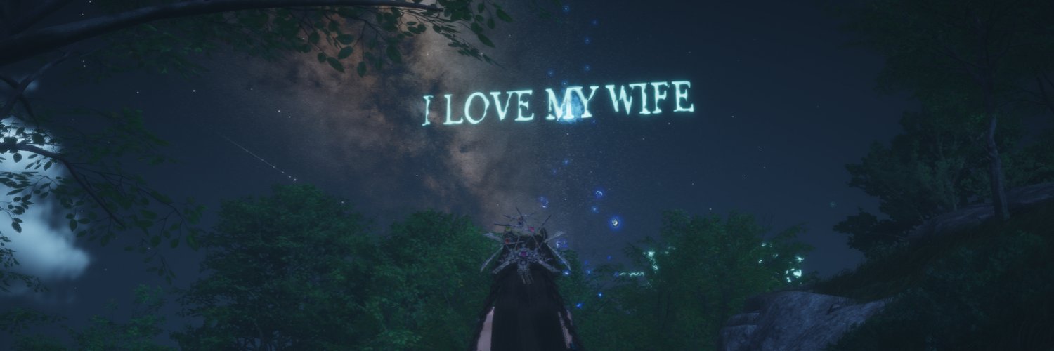 nocturailes's profile banner image