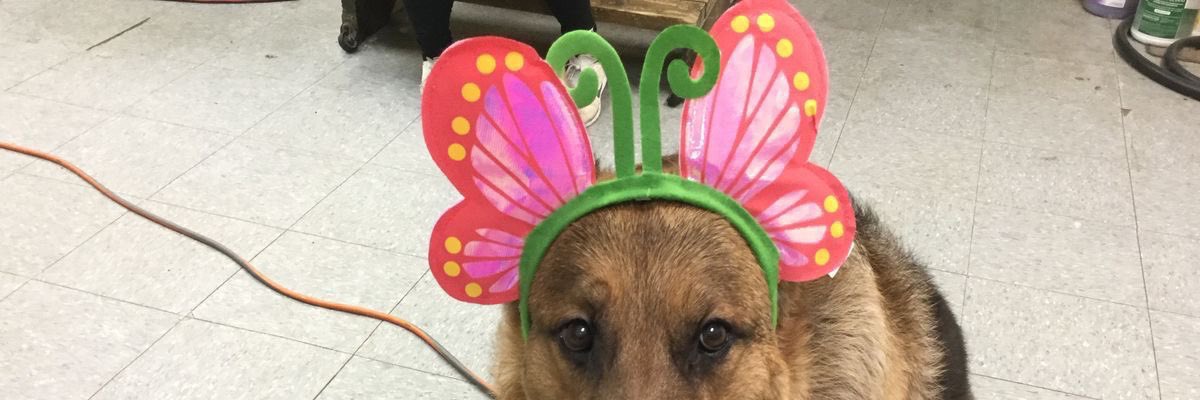 marucheroso's profile banner image