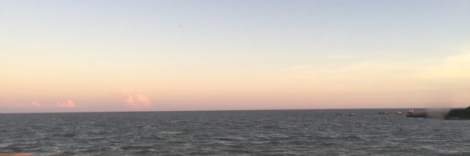 ronycastle's profile banner image