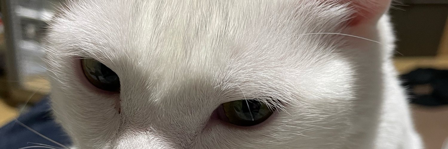 DEMITSD's profile banner image