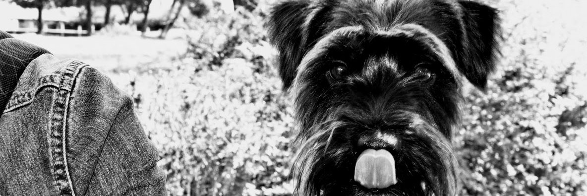 Filip_Toth's profile banner image
