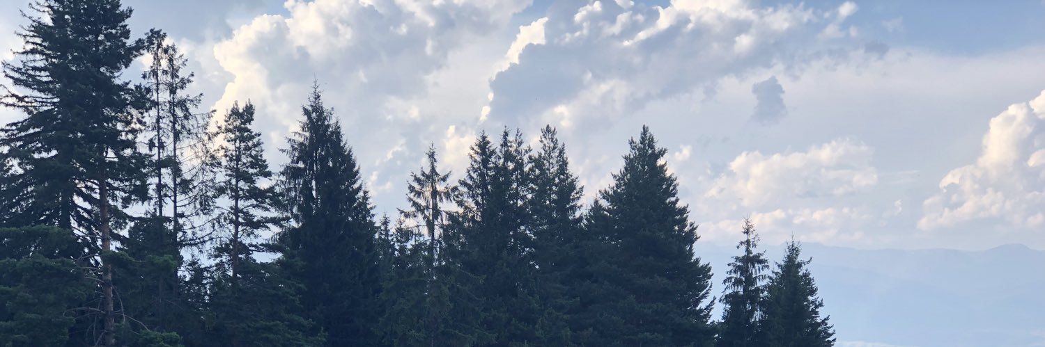 Askzew1's profile banner image