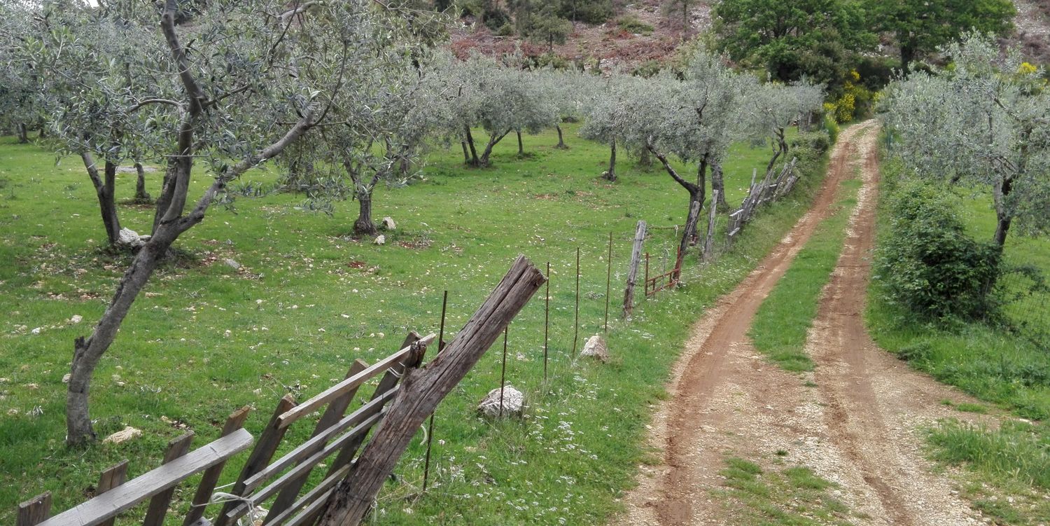 ValerioPellirossi banner