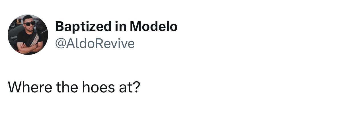 AldoRevive's profile banner image