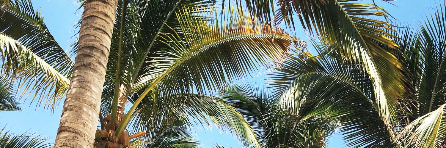 lopmartz's profile banner image