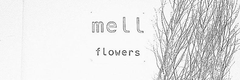meLL_flowers's profile banner image