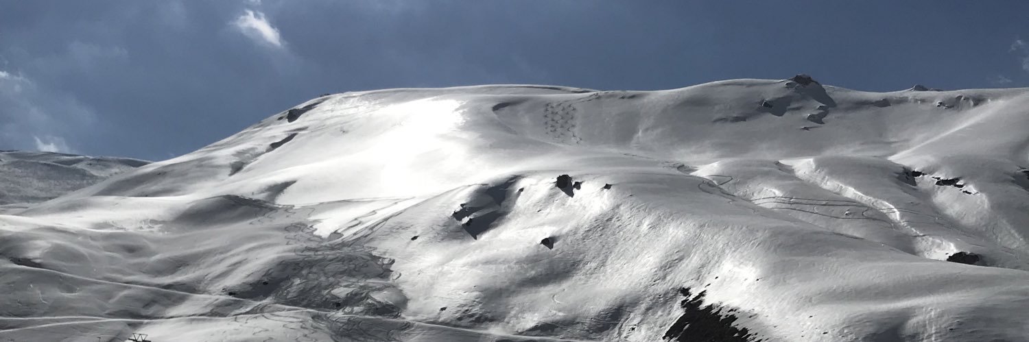 Venussameripour banner