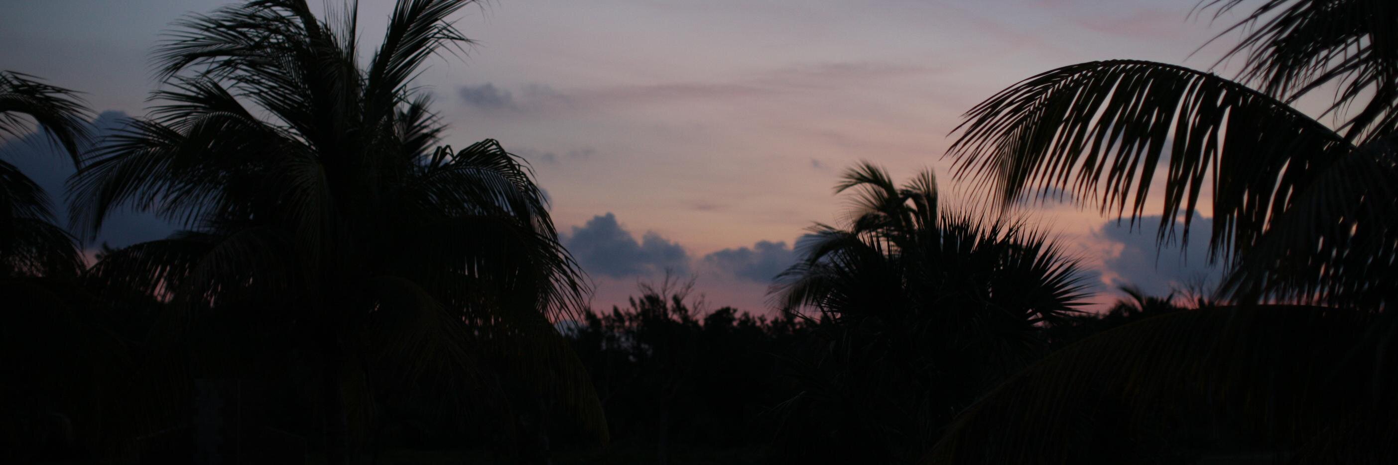 josche189's profile banner image