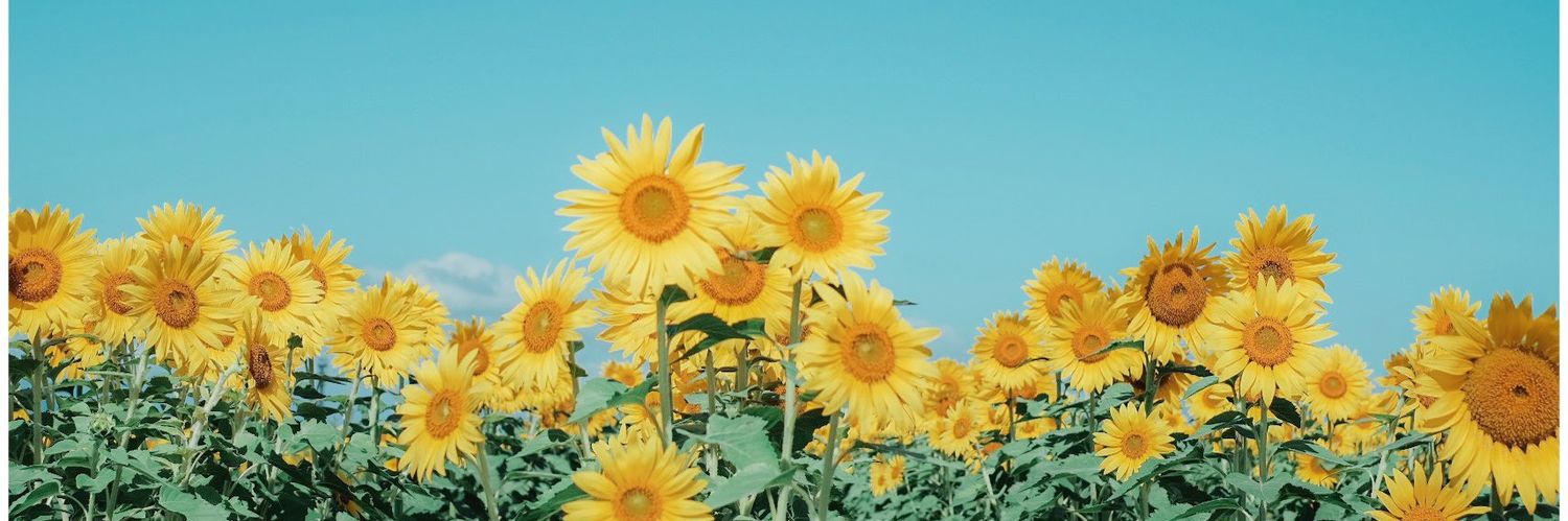 dwiapr__'s profile banner image