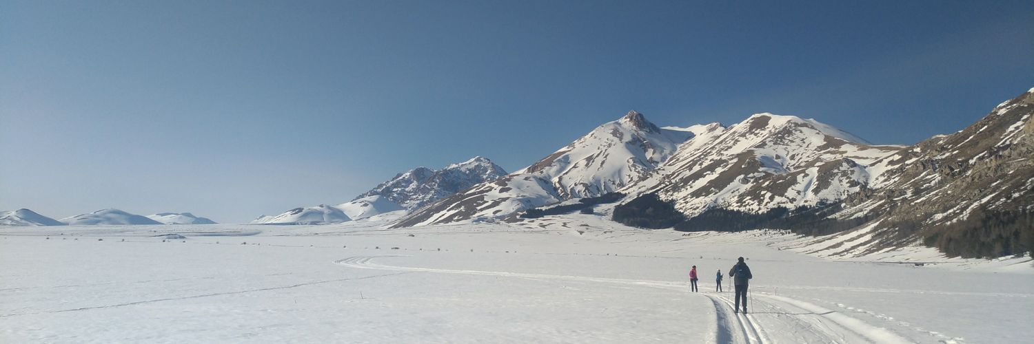 ValeCiaccio's profile banner image