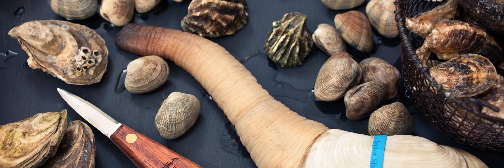 Taylor Shellfish banner