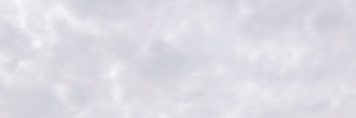 ROYZ's banner