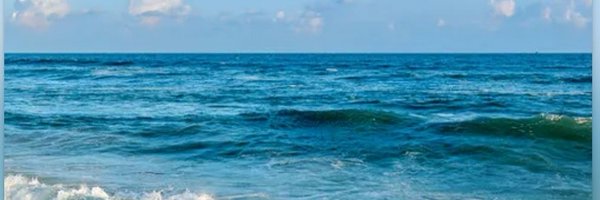 Voice4_humanity Profile Banner