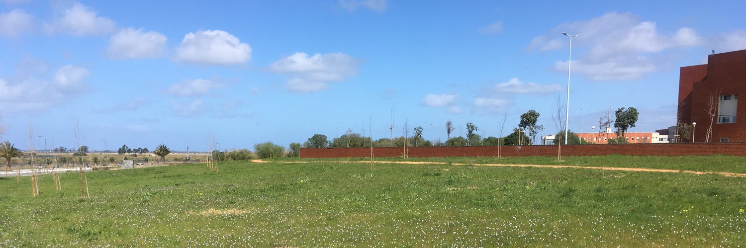 ADFdaniela's profile banner image